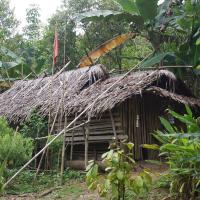 habitation des Mentawaï