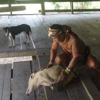 préparation du cochon à manger 