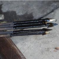 Flêches empoisonnées des hommes fleurs