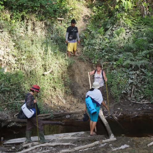 Randonnée à pied à sumatra