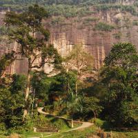 vegetation-vallee-harau