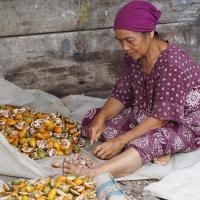 vie-des-femmes-vallee-harau