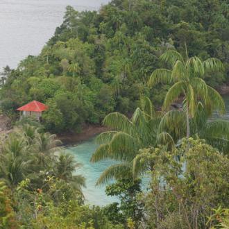 Coin-sauvage-Sumatra