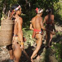 Hommes-fleurs-Mentawaï