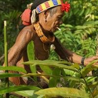 hommes-fleur-cueillette