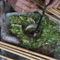 fleche-empoisonnée-mentawaï