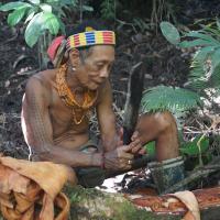 homme-fleur-mentawaï-cueillette